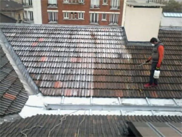 Application du traitement anti-mousse au pulvérisateur sur une toiture en tuiles mécaniques